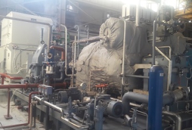 Năng lượng tái tạo phát triển khi giá điện sinh khối tăng